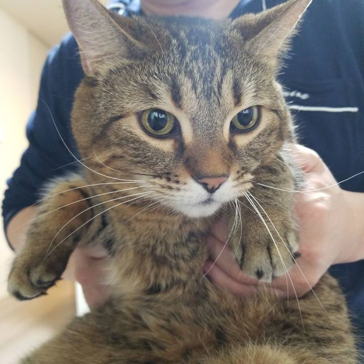 3cf1fd1d dbeb 4592 8138 3f4a2843d8e7 1576968859026