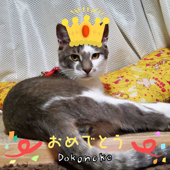 3cf215c5 4eb8 4f1c 9ef9 e3db5f21bc60 1685968678066