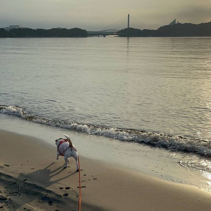 3cf23a21 a2f3 4584 bf04 179c2d827498 1727149399144