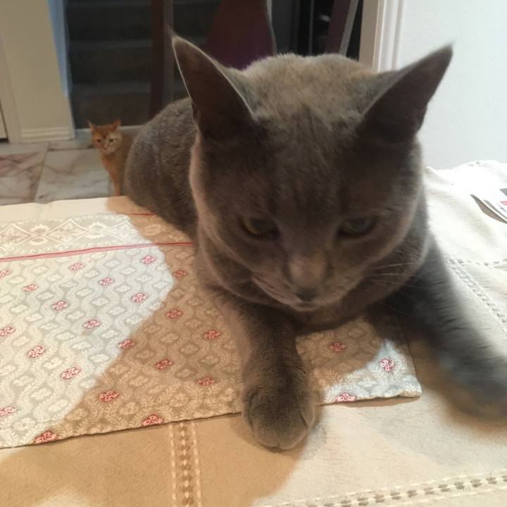 3cf252b2 12d2 4226 b00c 2cdb9203dc5b 1651279831145