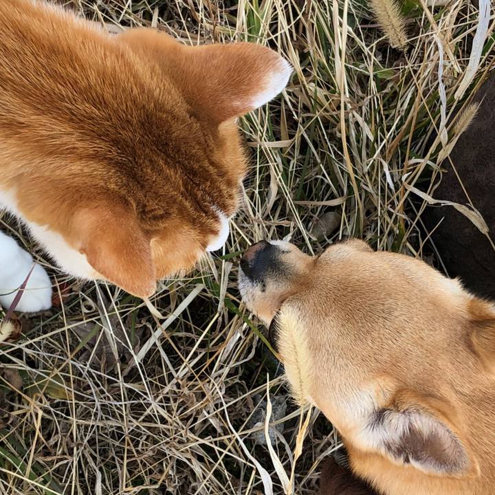 3cf26290 d682 4076 81a4 7c9a9ae6cb56 1551605357701