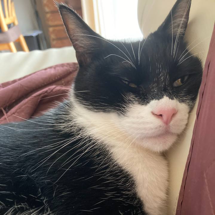 3cf2689d b4d0 4907 a9a0 93702ebe9f6b 1626145907855