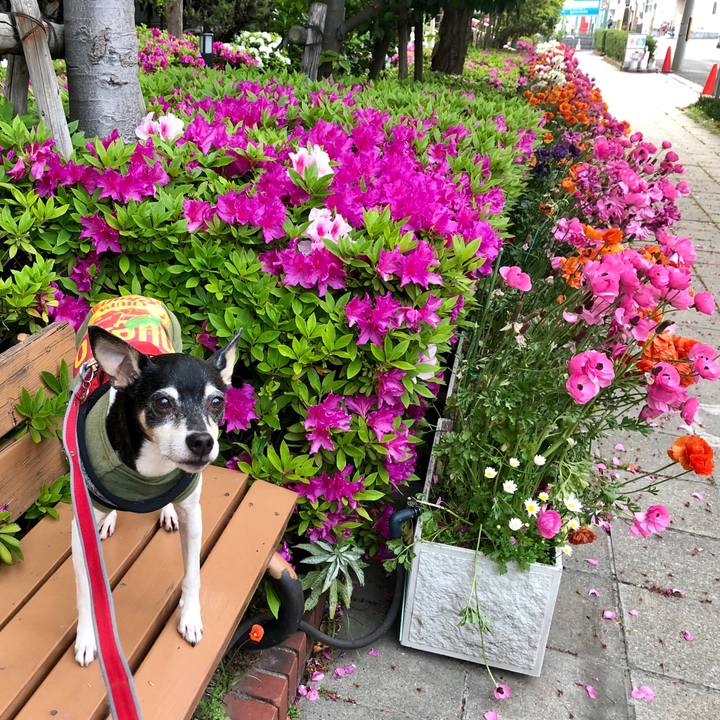 3cf28fe2 f0dc 4de4 9f60 85e1c8ca3674 1555975978683