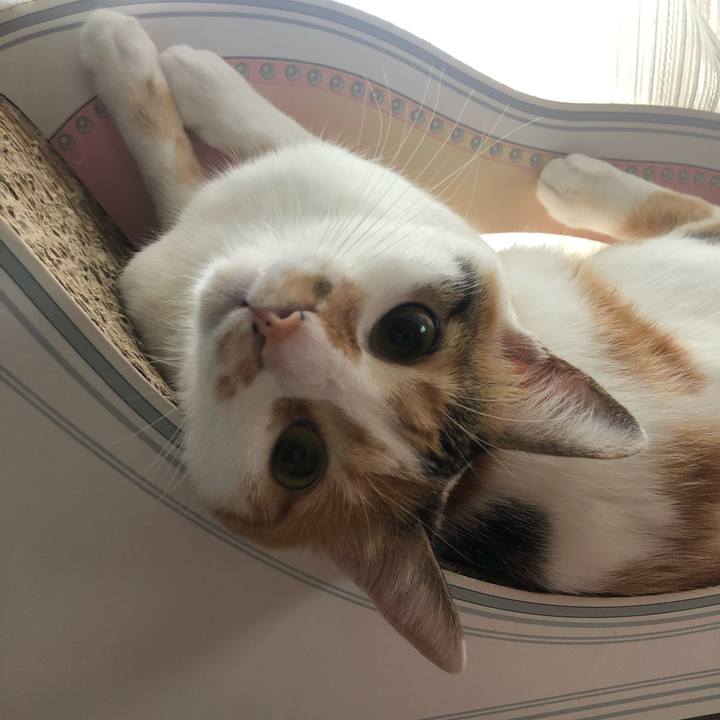 3cf336c8 e1e1 40c9 bca4 e5bbf8609f9b 1599978405951