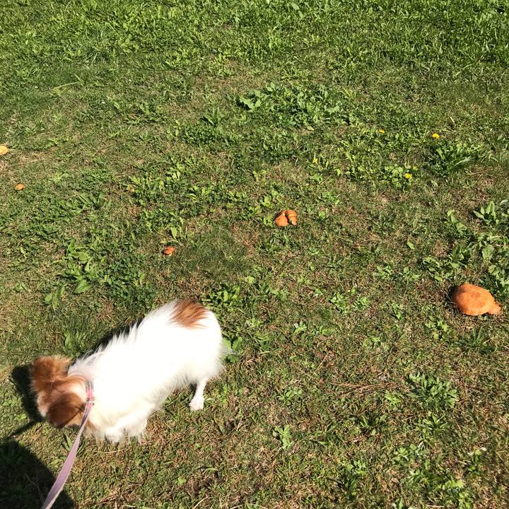 3cf35082 29f2 4a2b 85ad c5f10987dc0f 1508402257094