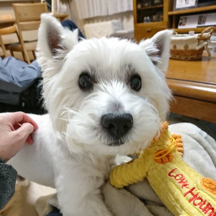 3cf39868 be18 4caa 9f87 d45ac7ff78d1 1530970509811