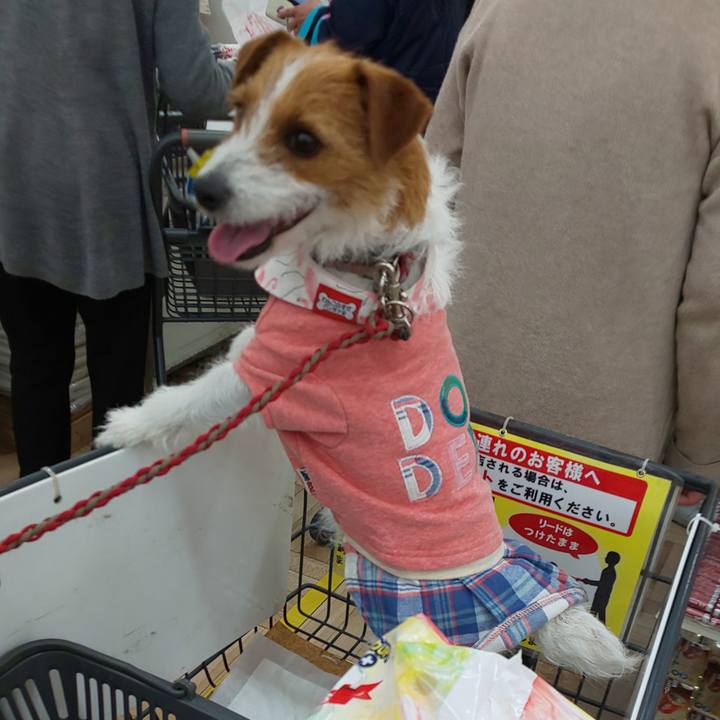 3cf3afa5 1386 459e a669 a481f4648741 1554030917680