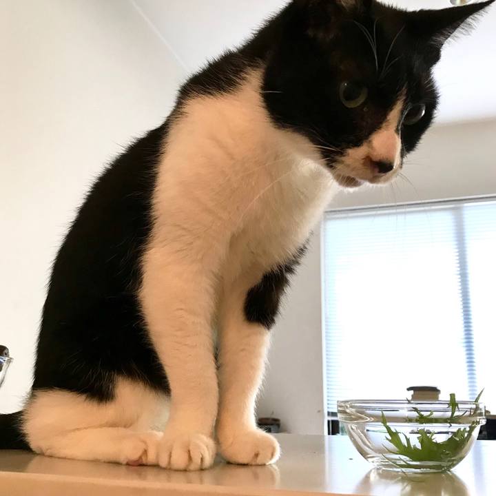 3cf3d3a6 00f2 4e57 8f84 958ae583bc71 1510205711992