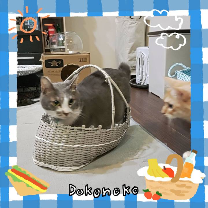 3cf43187 3250 4347 a9f4 0c84e4199cd7 1744429198183