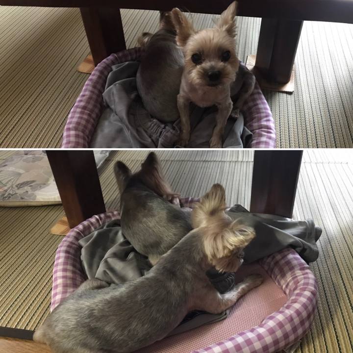 3cf4463f 1040 4537 9a84 5d8746a282fa 1596788386975