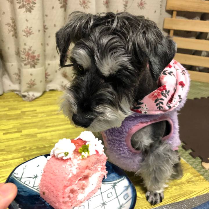 3cf46023 1bd8 4106 a30e 31c10805e8b0 1673011823932