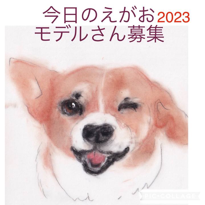 3cf46803 ab33 45f5 9a58 0e9da264a4fa 1667215409839