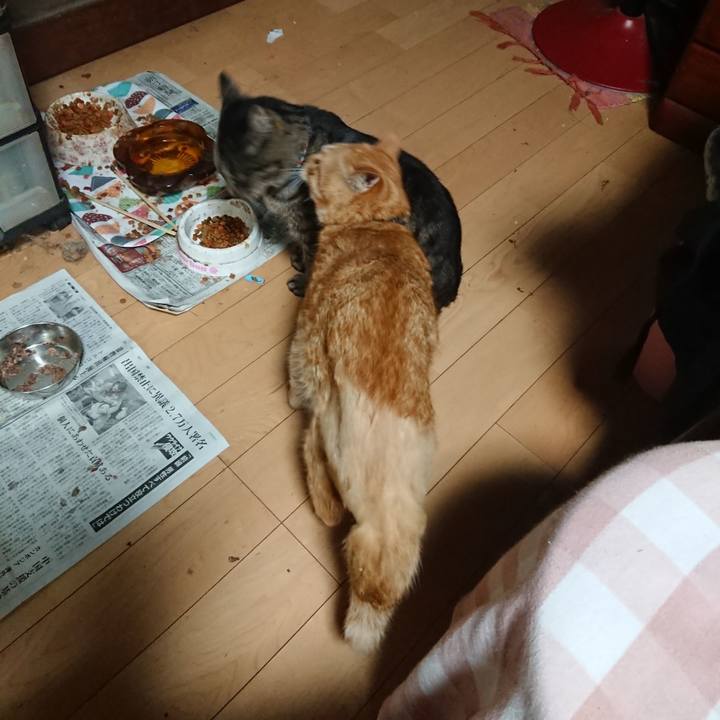 3cf4691c 7260 42c4 aaf9 cc3389507163 1655898902530