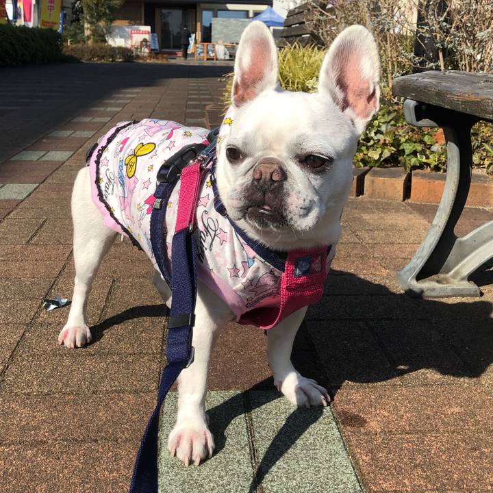 3cf48886 1354 4b20 925c a79a82e4e6bb 1612704256086