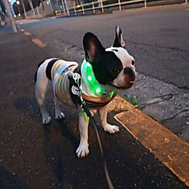 3cf48a4b 3474 4a7e b05e 168644e87fcc 1529492456872