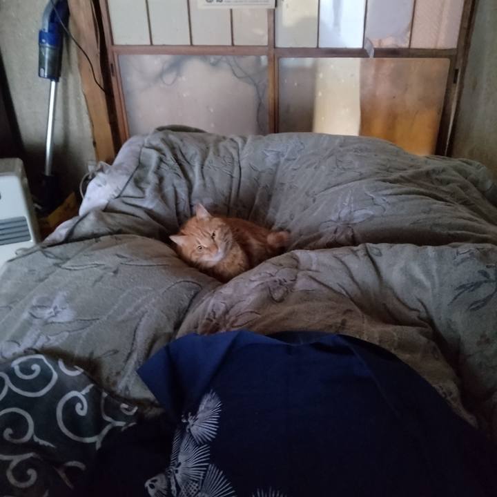 3cf4a6be 02e0 47da a3db 5db097100d76 1672790738159