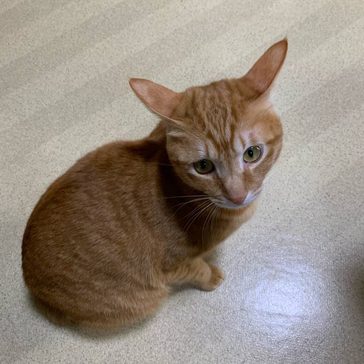 3cf4cbcd cb99 4655 9113 c7095b7af25c 1609155848724