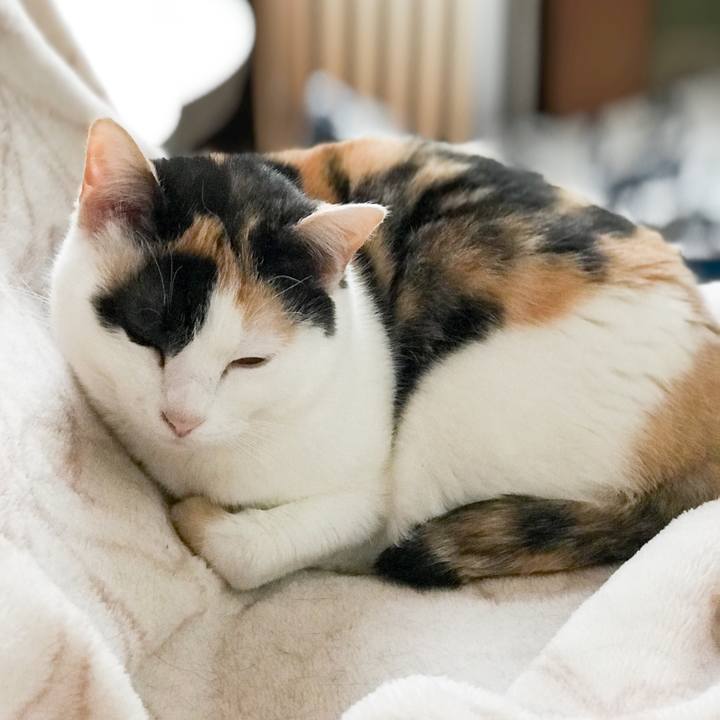 3cf4dd82 a479 42a9 a298 36c48d73c259 1524061657437