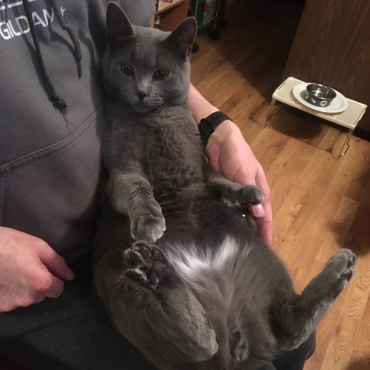 3cf4e5fa 7349 4edc ab60 1f824bbeddcc 1633136351063