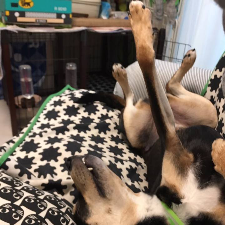 3cf4f50a 4093 4802 a806 e545abe1dca5 1544961727590