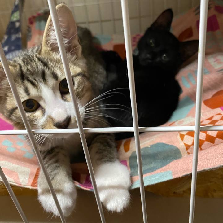 3cf4feb9 301d 443e 9941 da0cb5e908e0 1627807113881