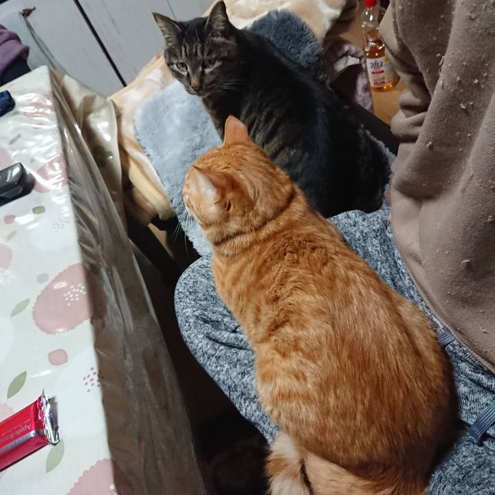 3cf509ee 3e1e 4884 8062 932a549f1884 1644575013012