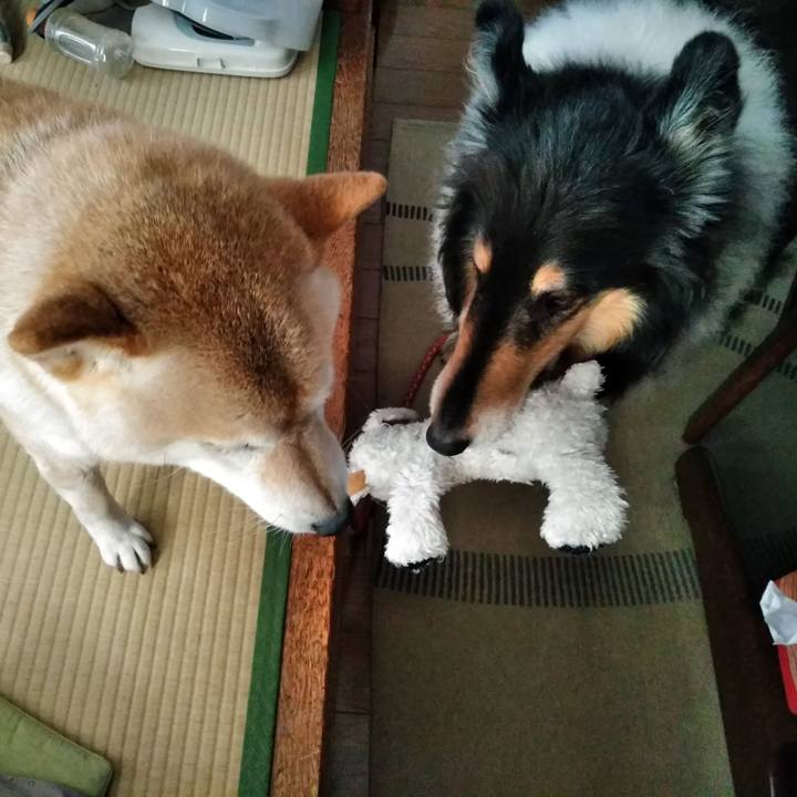 3cf5238a 70a8 4cf5 9111 289245328f34 1553169051653