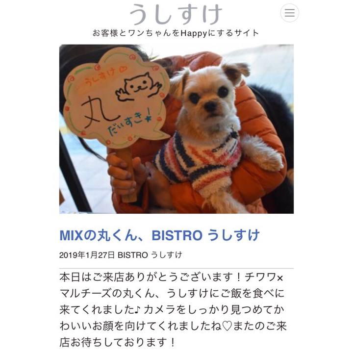 3cf57660 2524 441e 8697 ab054ed05364 1548584708519