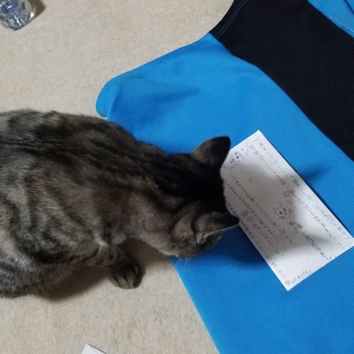 3cf593ab 748f 4cff b47f 32e716e54429 1690546432490