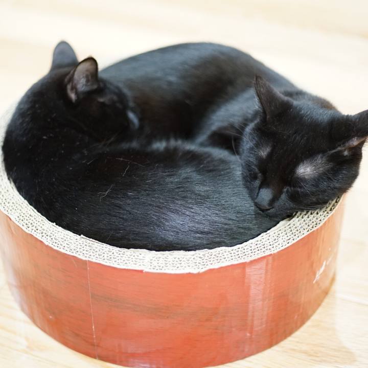 3cf5b602 94a4 4cc6 ae26 77adbe4d9302 1518351834789