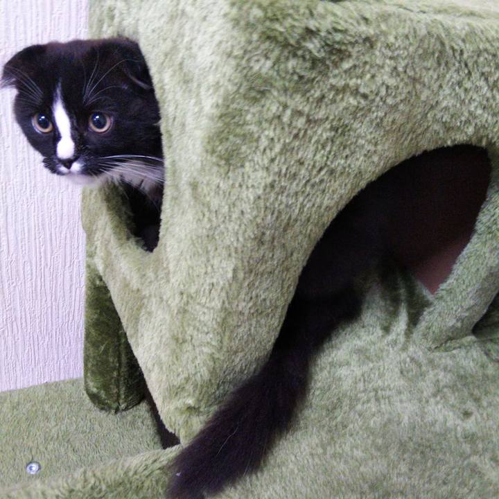 3cf5e72c 84cc 46db b8e9 42ab5f379006 1641468276724