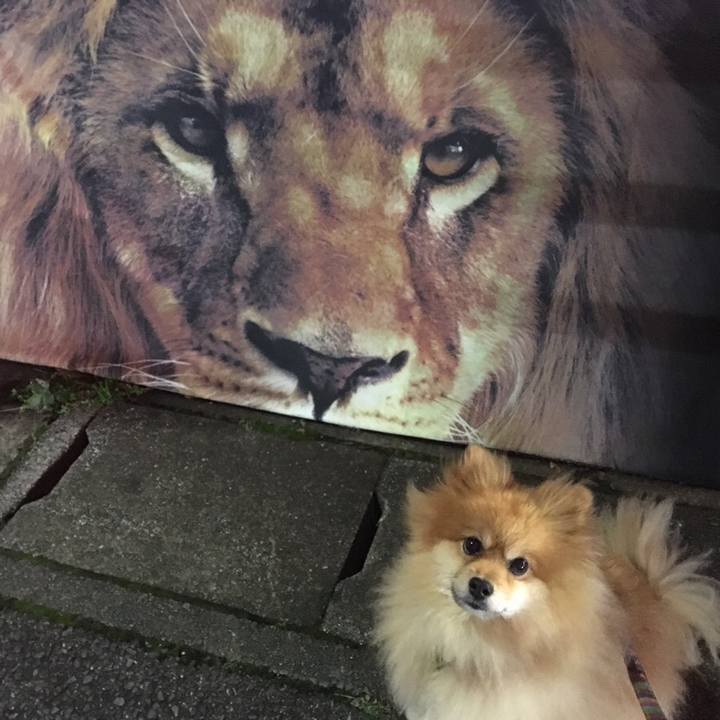 3cf6673b 2887 47b3 870f ade21a4e54d9 1545359132888