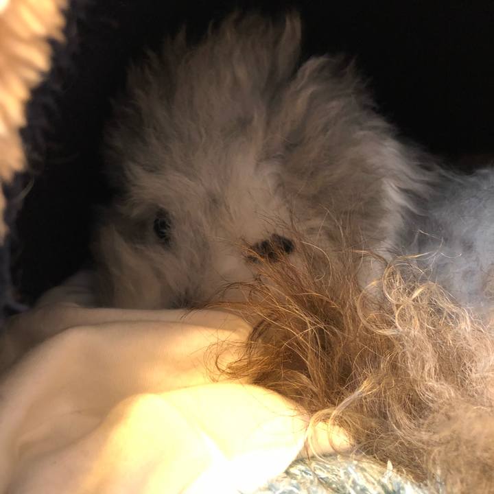 3cf689c0 0b40 404a 9dbe fbce11d1e6b5 1621512818283