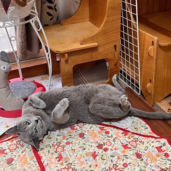 3cf6a44b dca9 40e9 9ccb e9e10aebb9f1 1672825346828