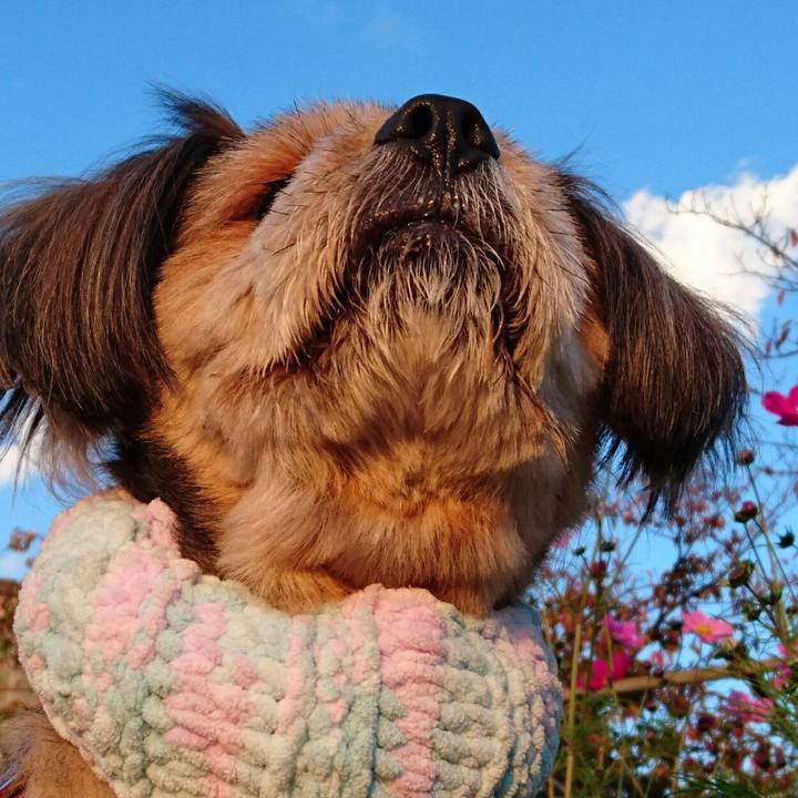 3cf6d30a 763e 47d4 8d72 33defcbcfdc0 1541061798166