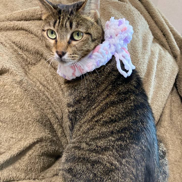 3cf71ad7 aecb 4349 b893 953a552aebda 1606887618456