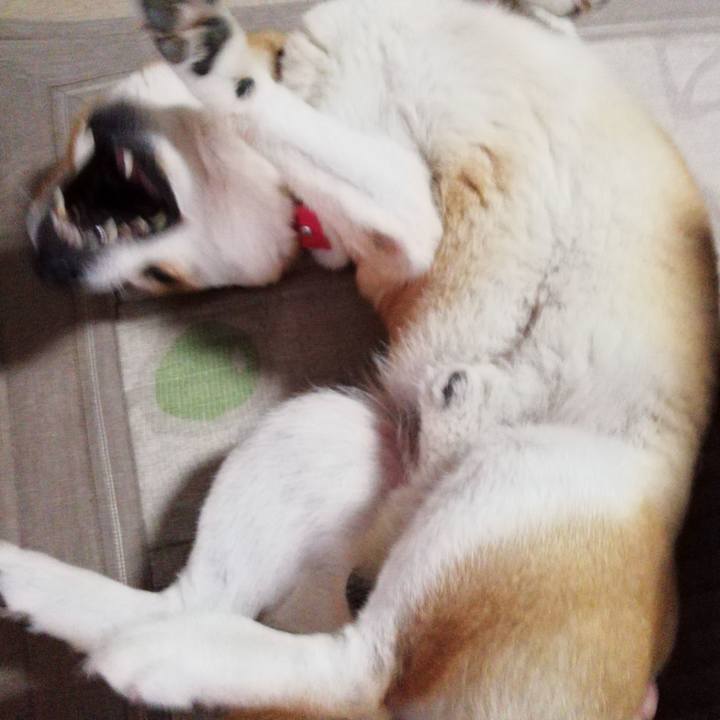 3cf7785b b35d 4df2 b507 eb1660b625f2 1599190125107