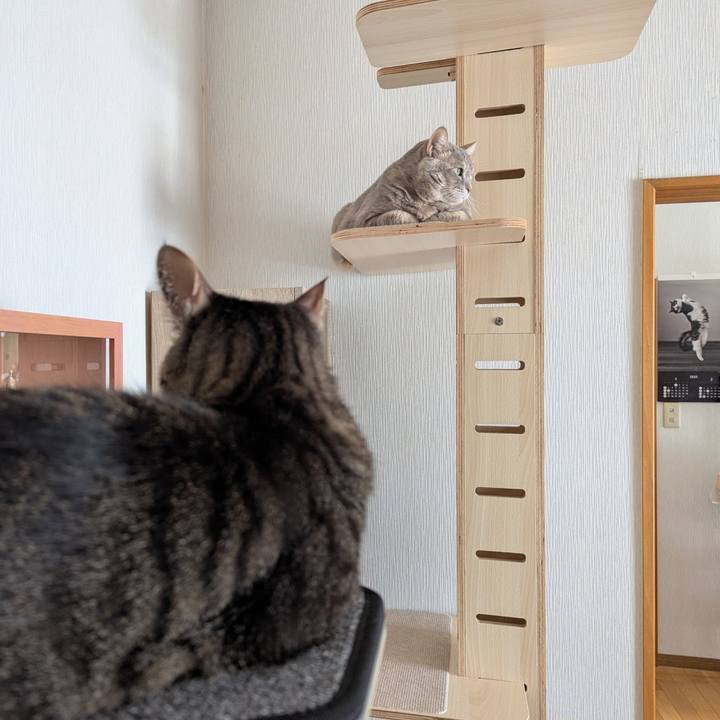 3cf782d8 771e 41a5 b5ed 7c491953e810 1739173996485