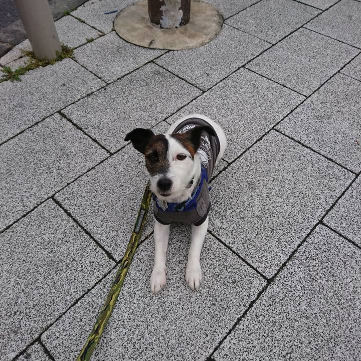 3cf78656 4e1a 429f 81b6 04fa1c5a94f5 1520373839437