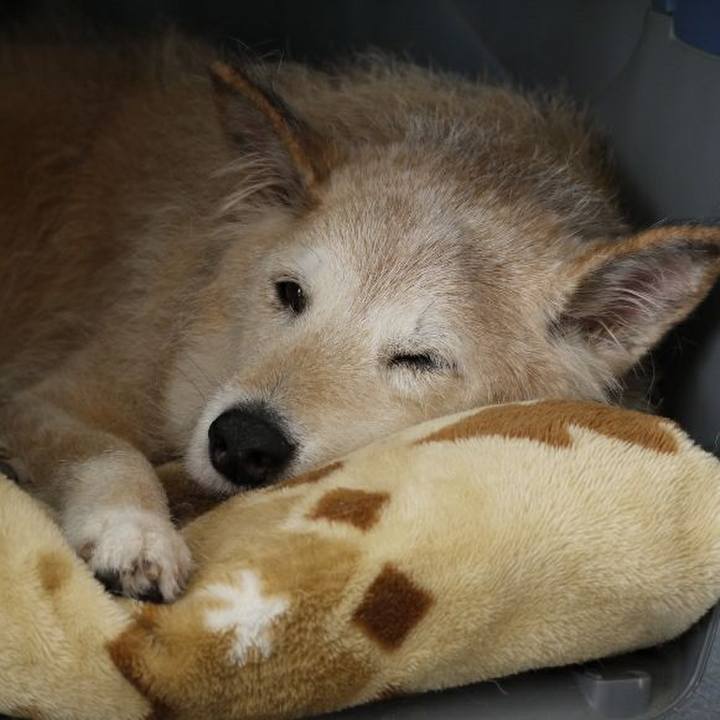 3cf79455 7f24 4f4f b198 a41e3906249b 1585441296296