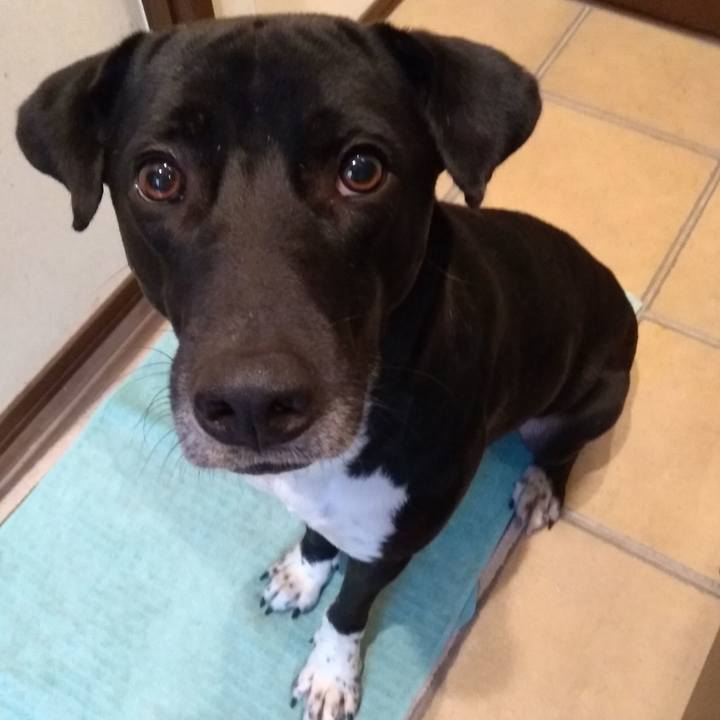 3cf7a7f2 4b25 45ed b094 b12bcb4f8dd2 1611361062107