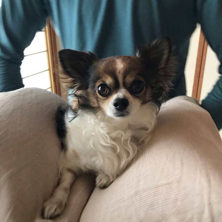 3cf7d11e f9bf 48f8 953d 522830660ee4 1556584819294