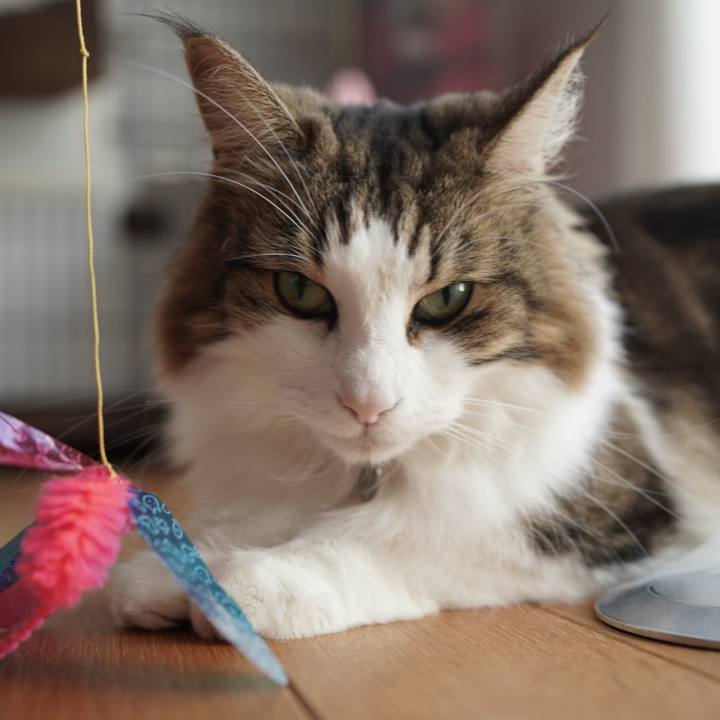 3cf7ee2e 7a2d 440a b707 119e34d9f9ec 1601606071080