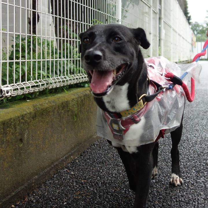 3cf7f12a bda2 44d8 91a5 36c2d6707506 1628814218529