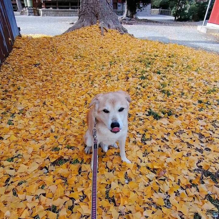 3cf81e53 7986 4cd3 8a33 d91fc81739c0 1608455044210