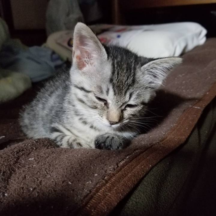 3cf8522b b5a3 44e5 9ca6 6b41a8511259 1662650433789