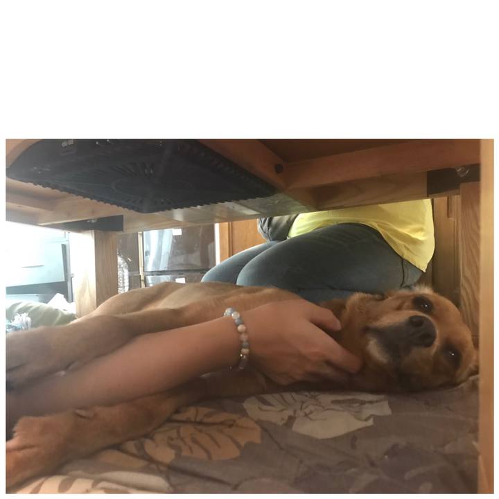 3cf8783e b833 4a27 b8a0 40afce16486c 1533290811668