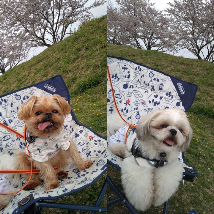 3cf8b3c8 8198 4491 bc51 fbb39657d0c2 1617530272500