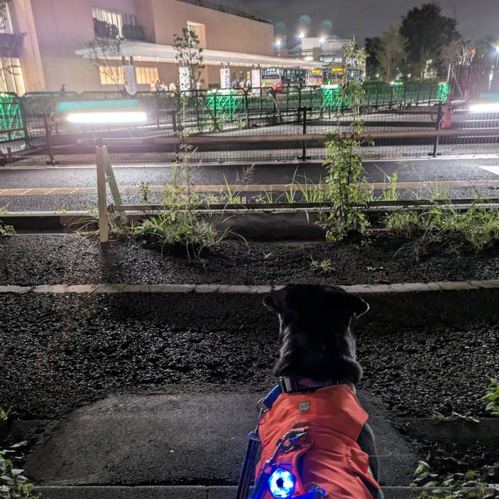 3cf8bc1d ee61 463d 859f 5552db445dc7 1728556774461