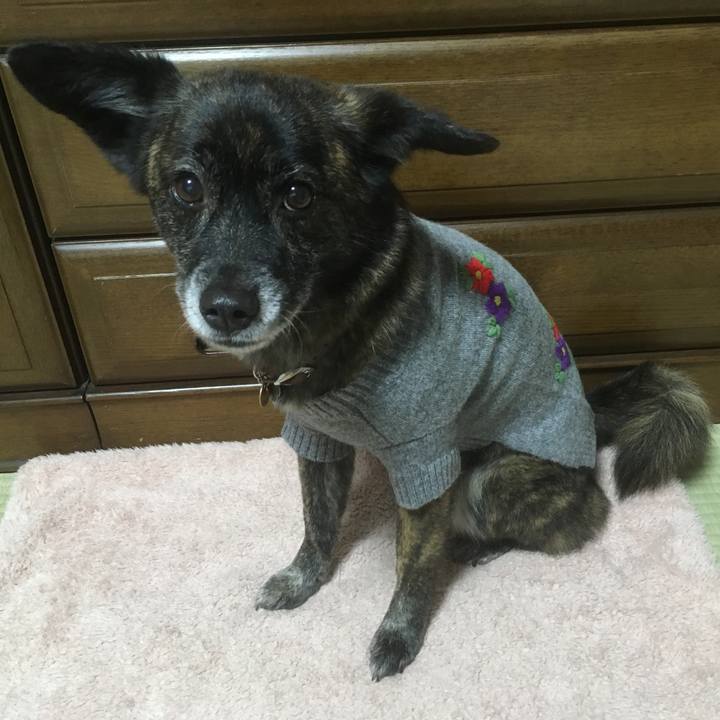 3cf90da0 53f5 4089 a004 bfb0636e3a96 1549172373874